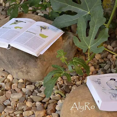 Holiday home El Vallin De Lan Cerezales del Condado